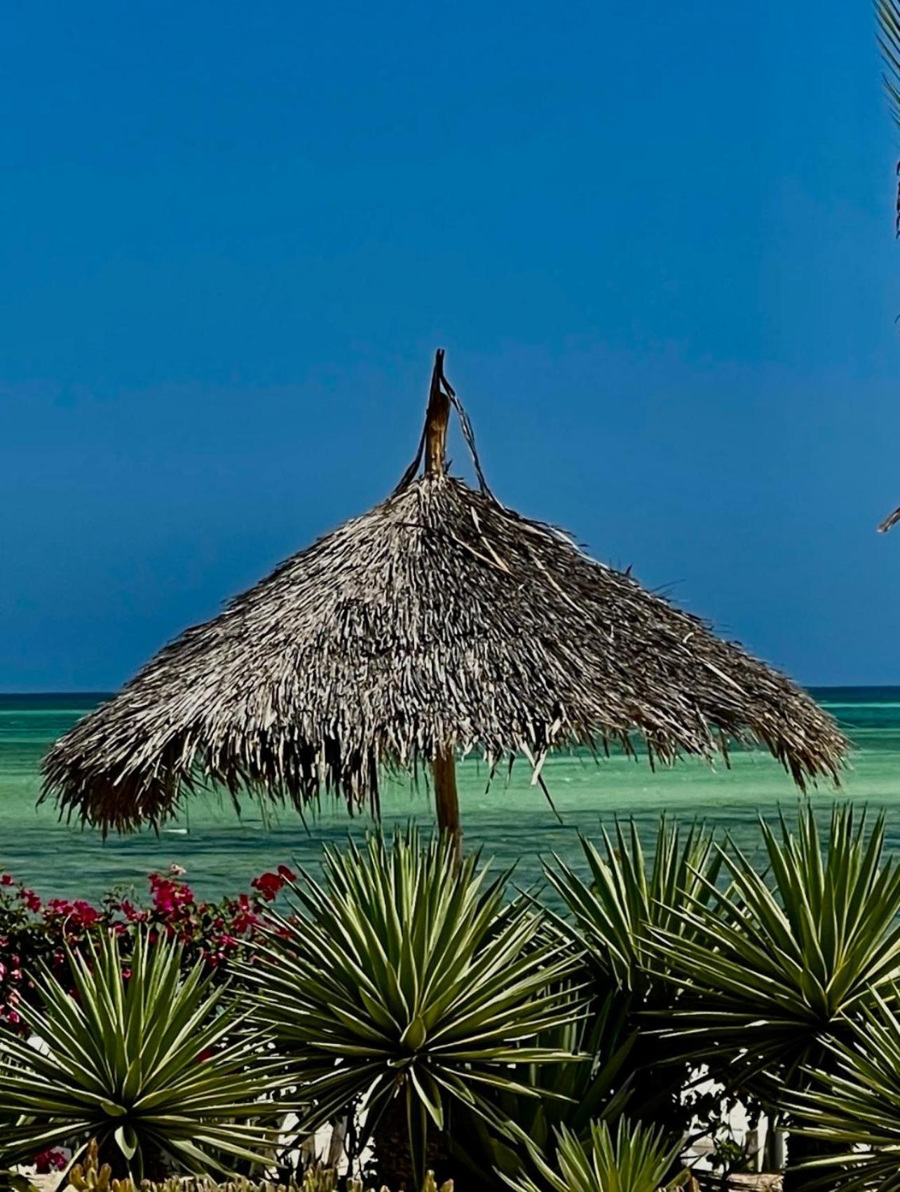 Shira House Bed & Breakfast Watamu Exterior photo
